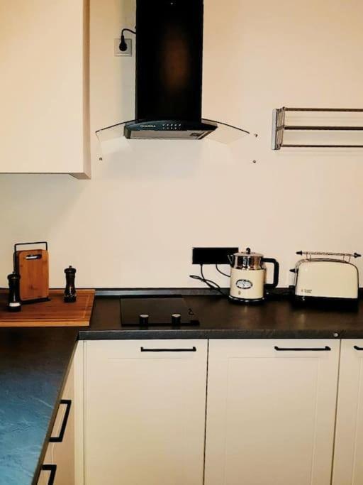 Komfortables Apartment Im Zentrum Erfurts Esterno foto